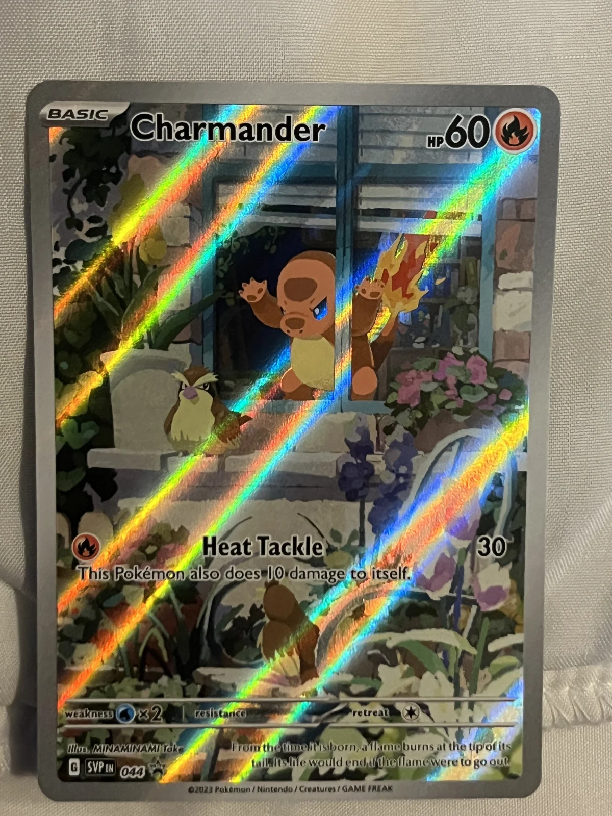 Card