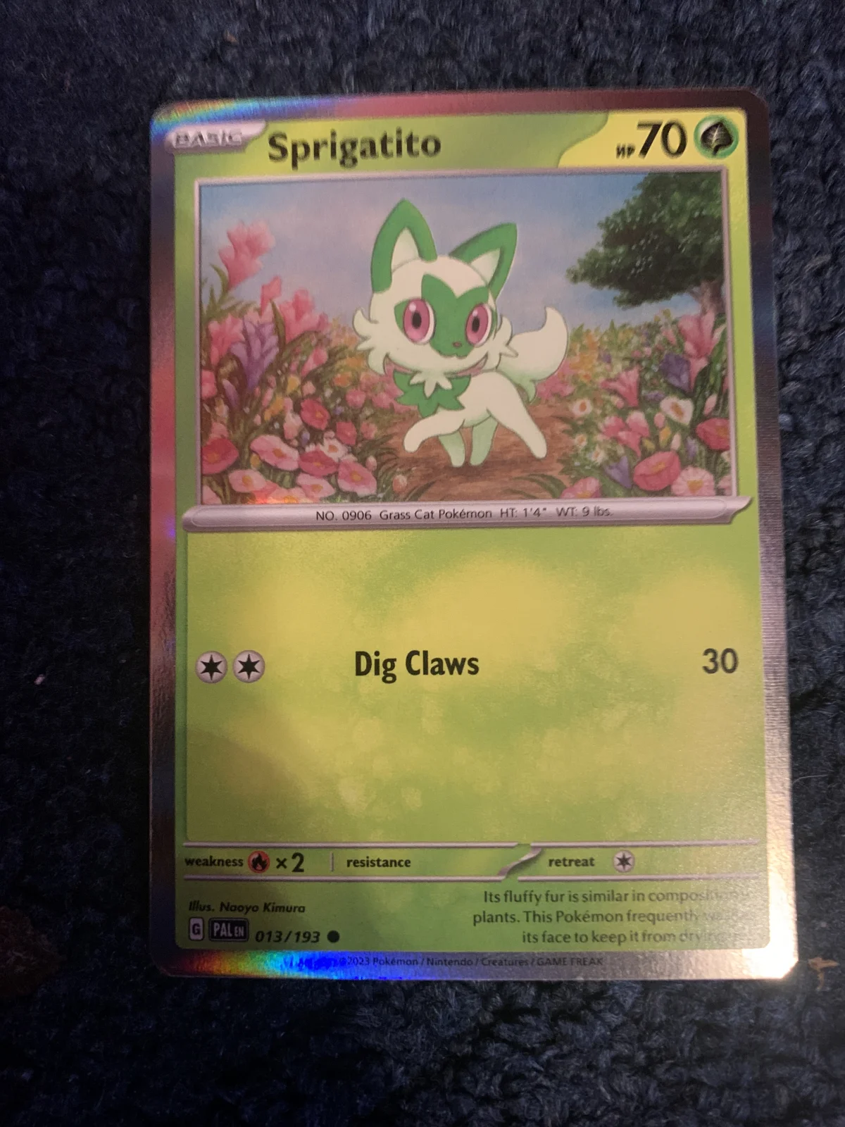 Card