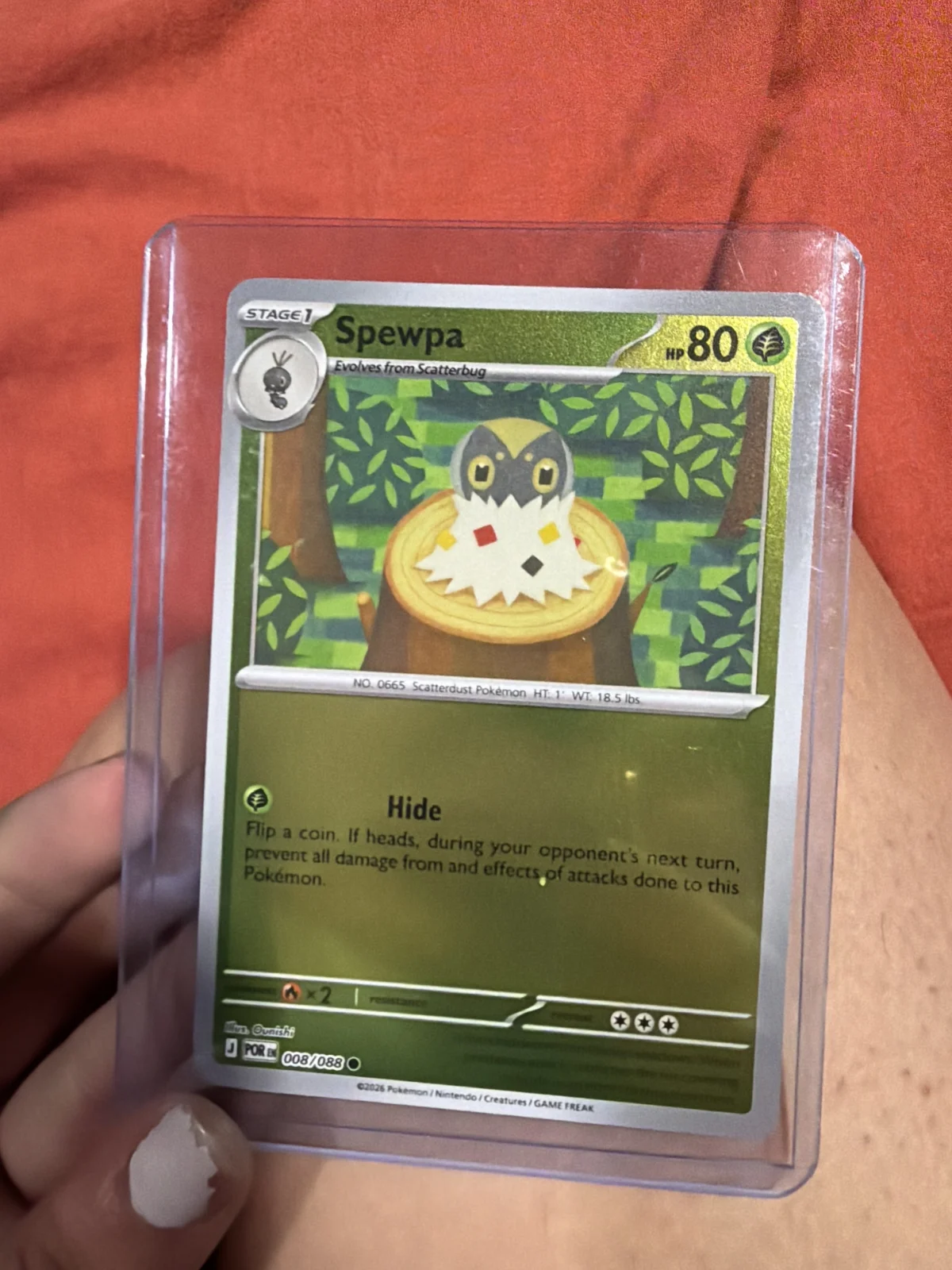 Card