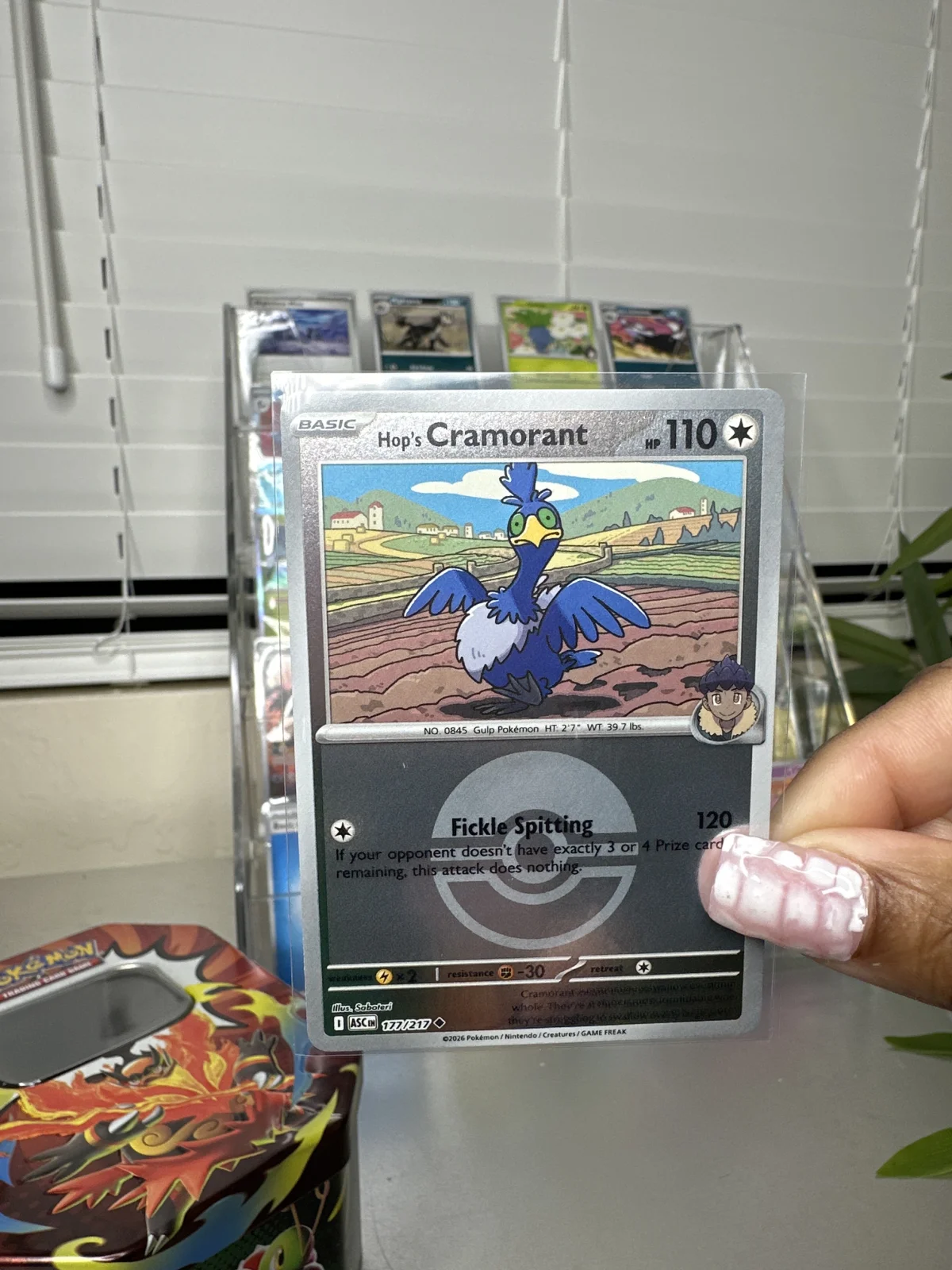 Card