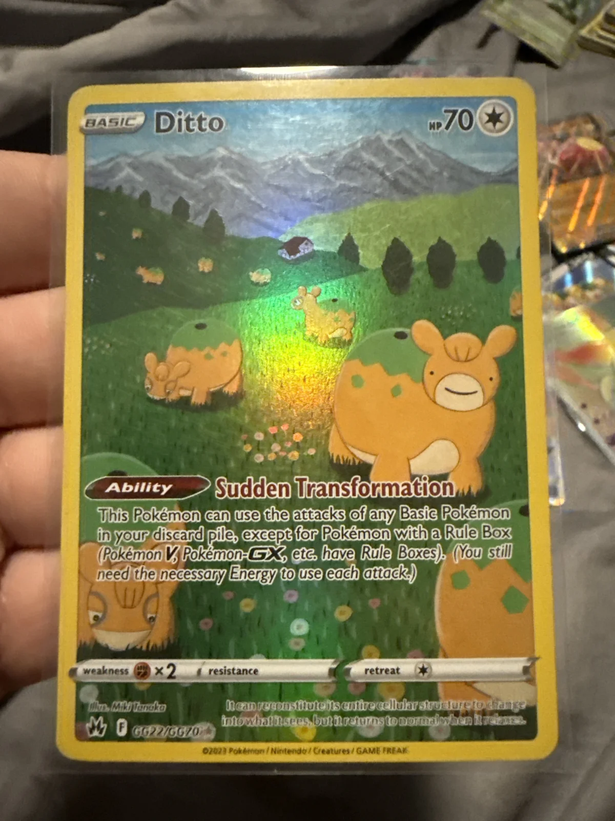 Card
