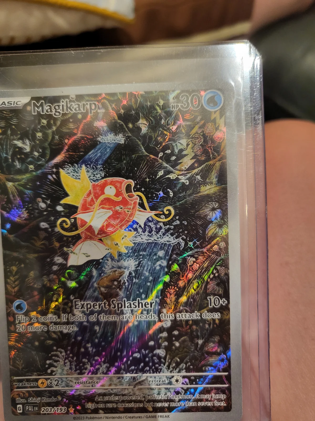 Card
