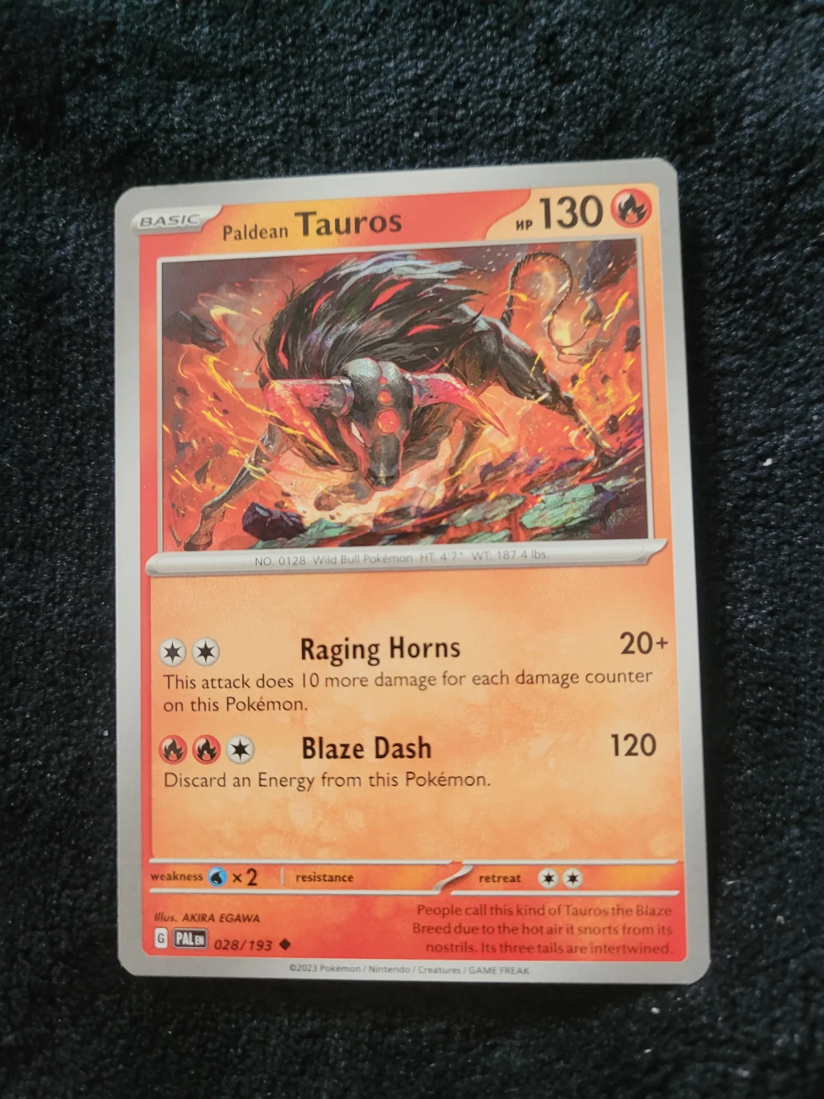 Card