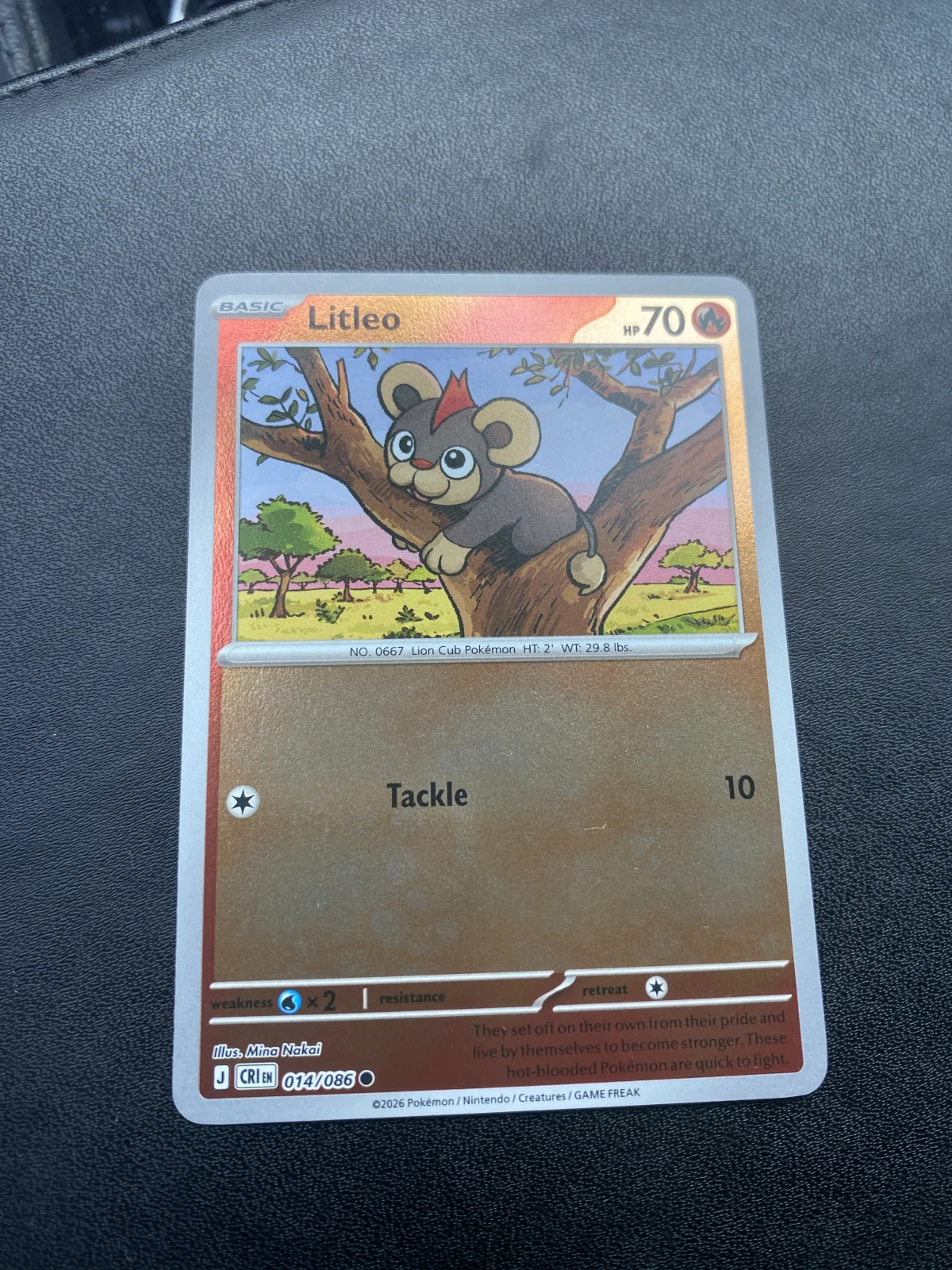 Card