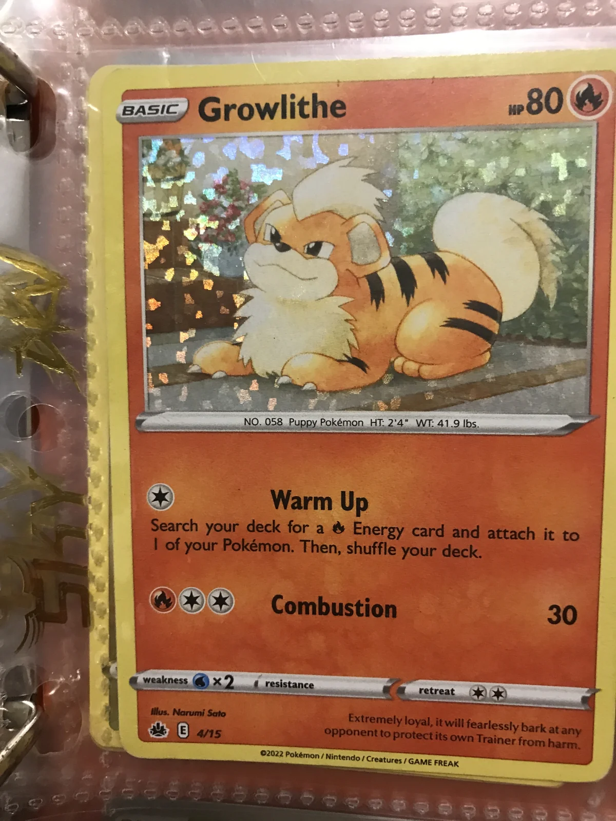 Card