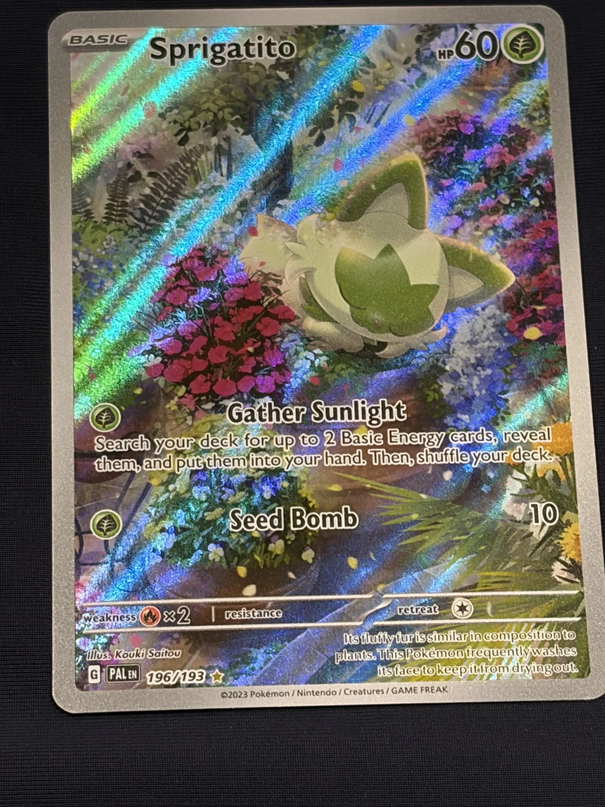 Card
