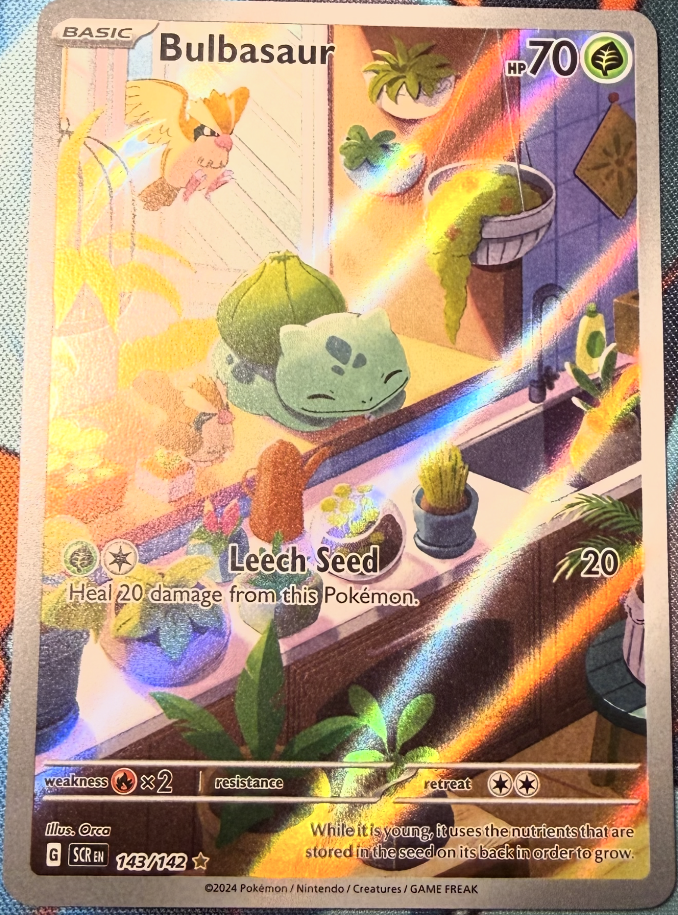 Card