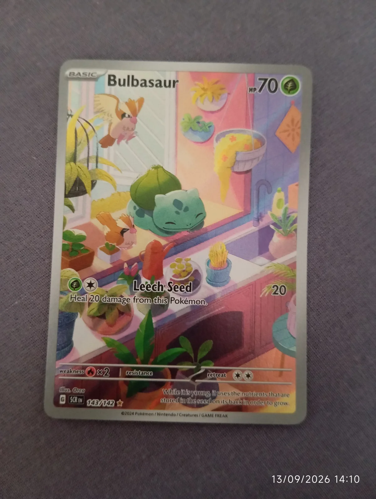 Card