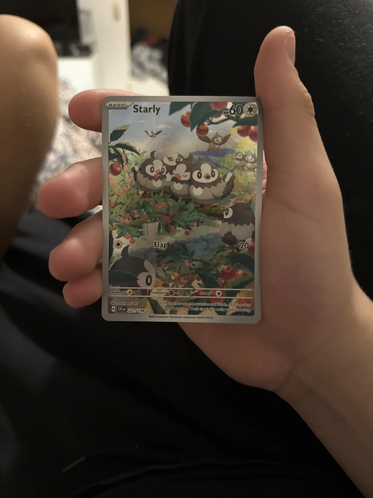 Card