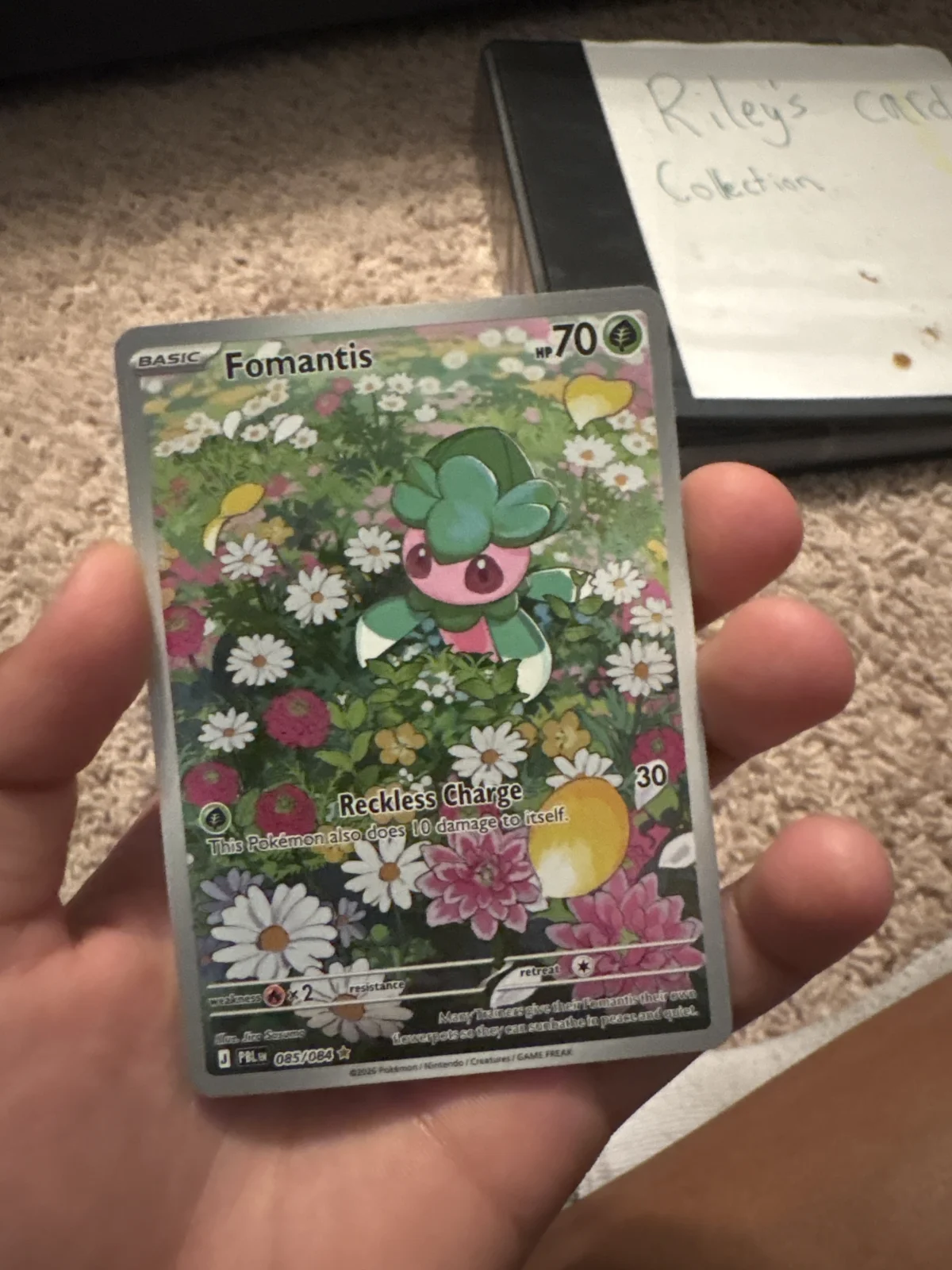 Card
