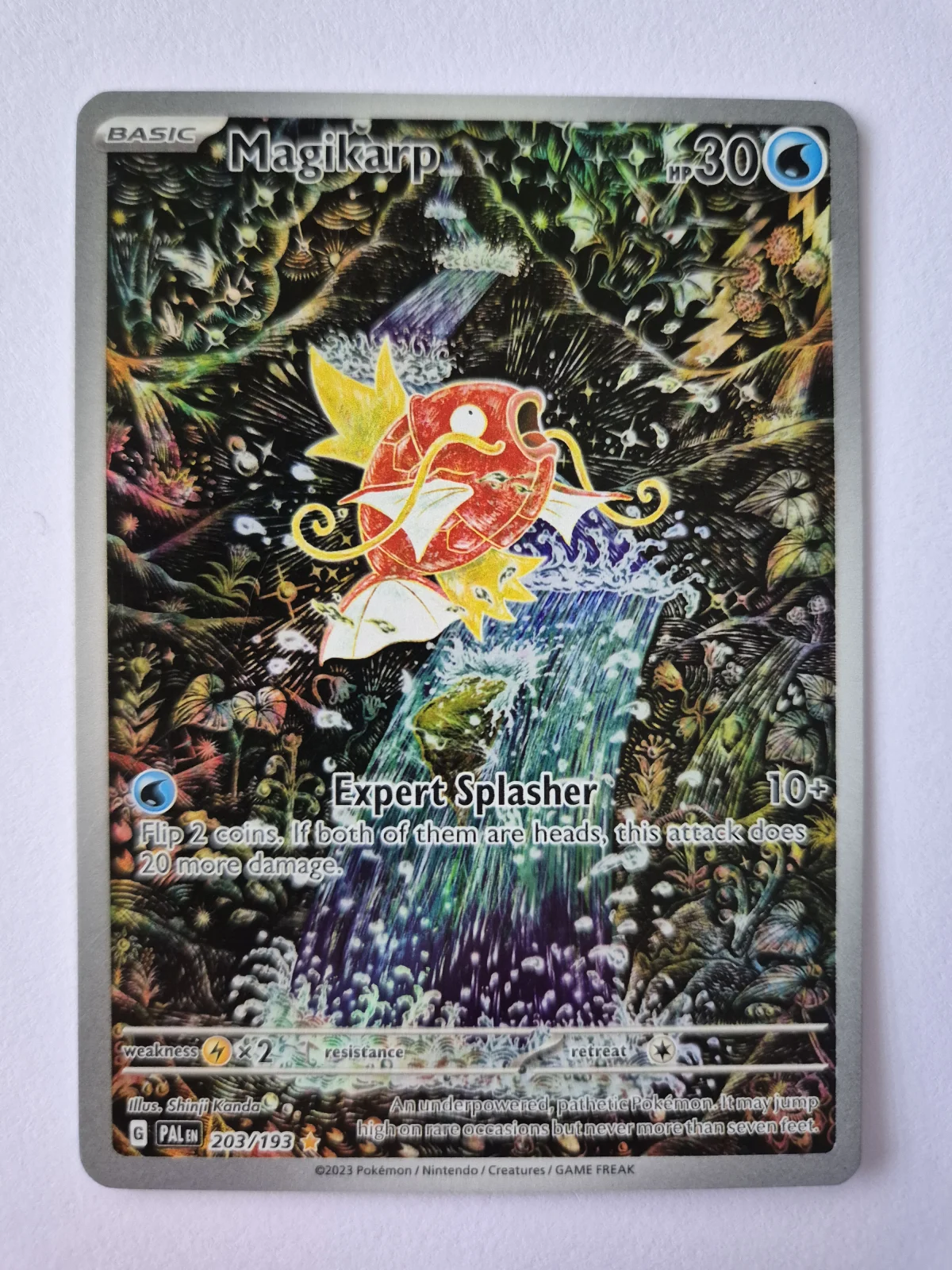 Card