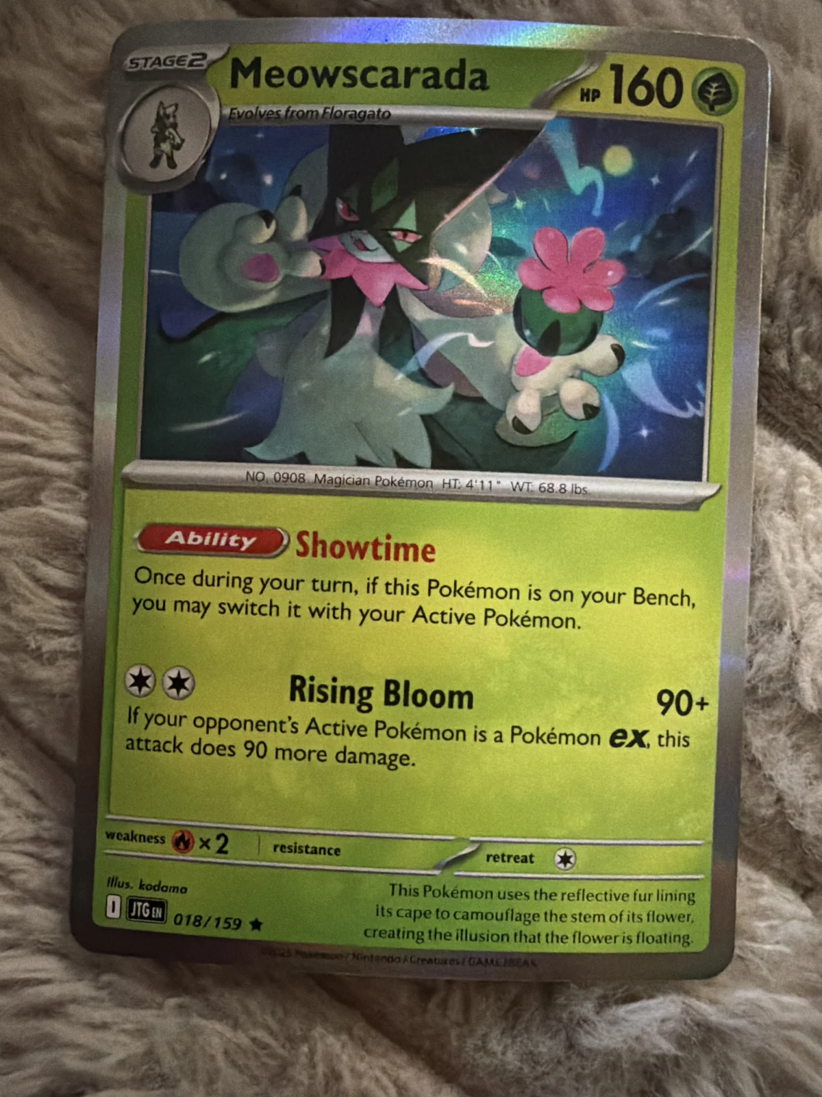 Card
