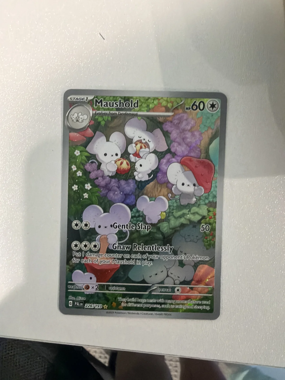 Card