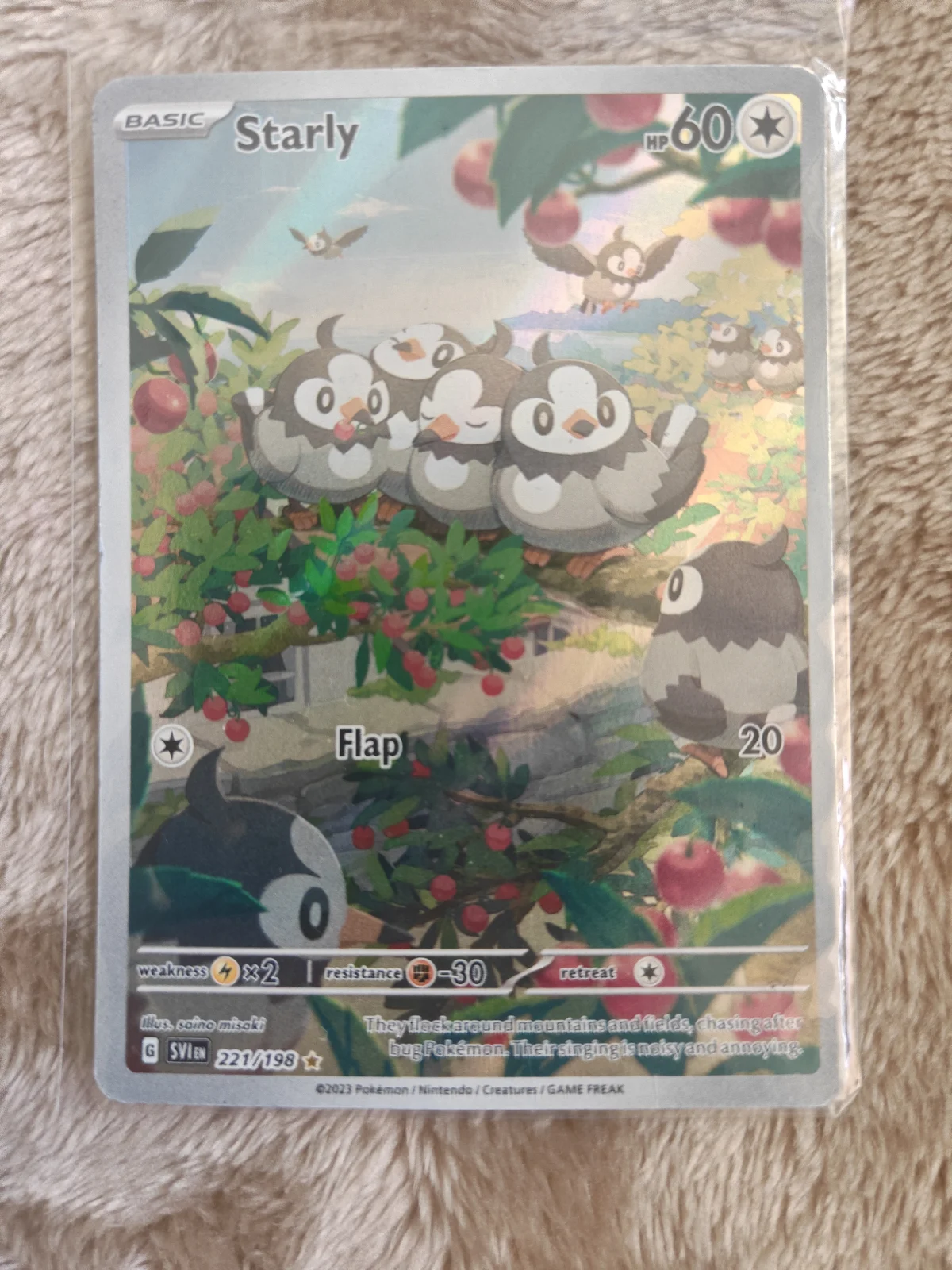 Card