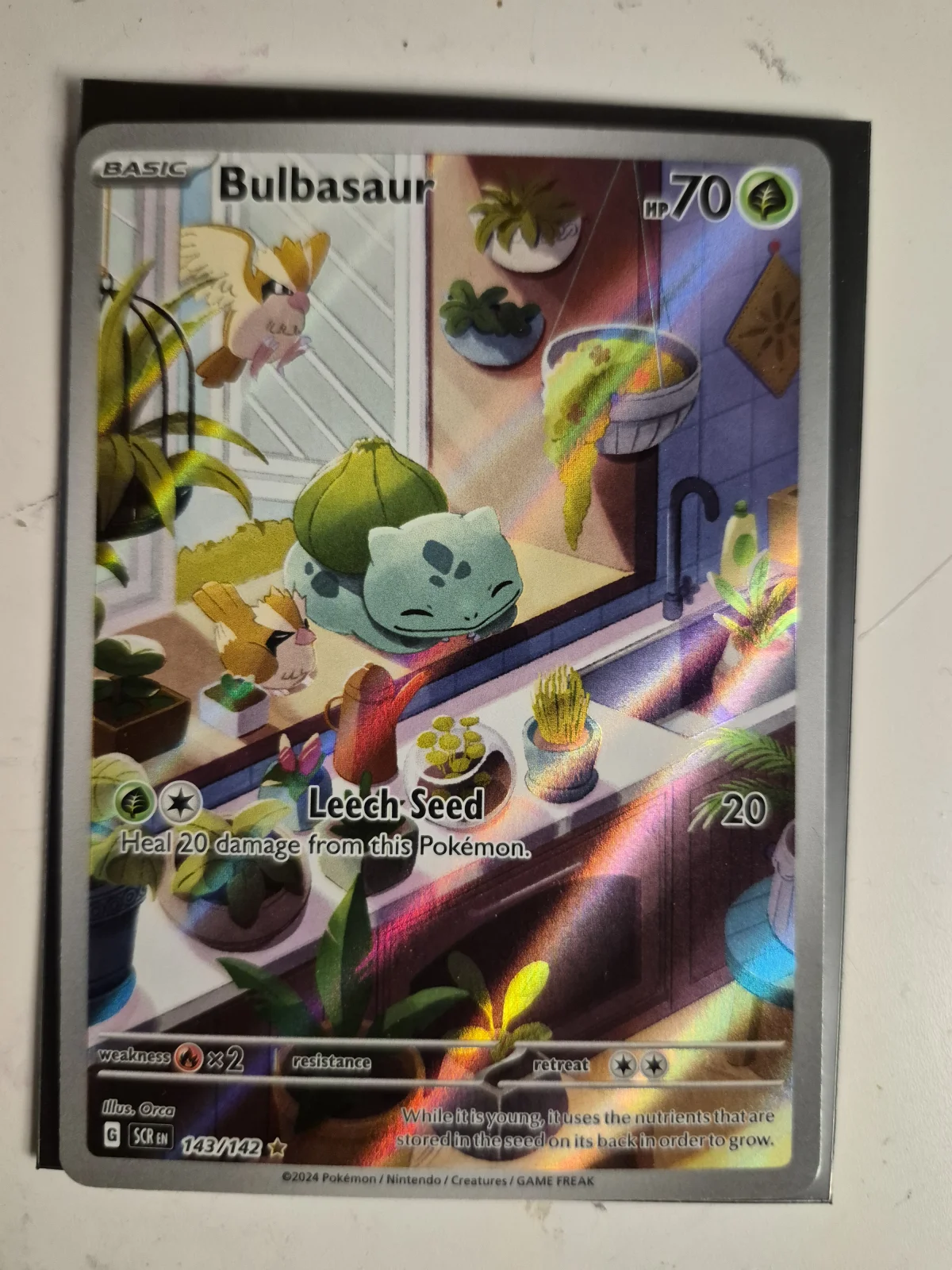 Card