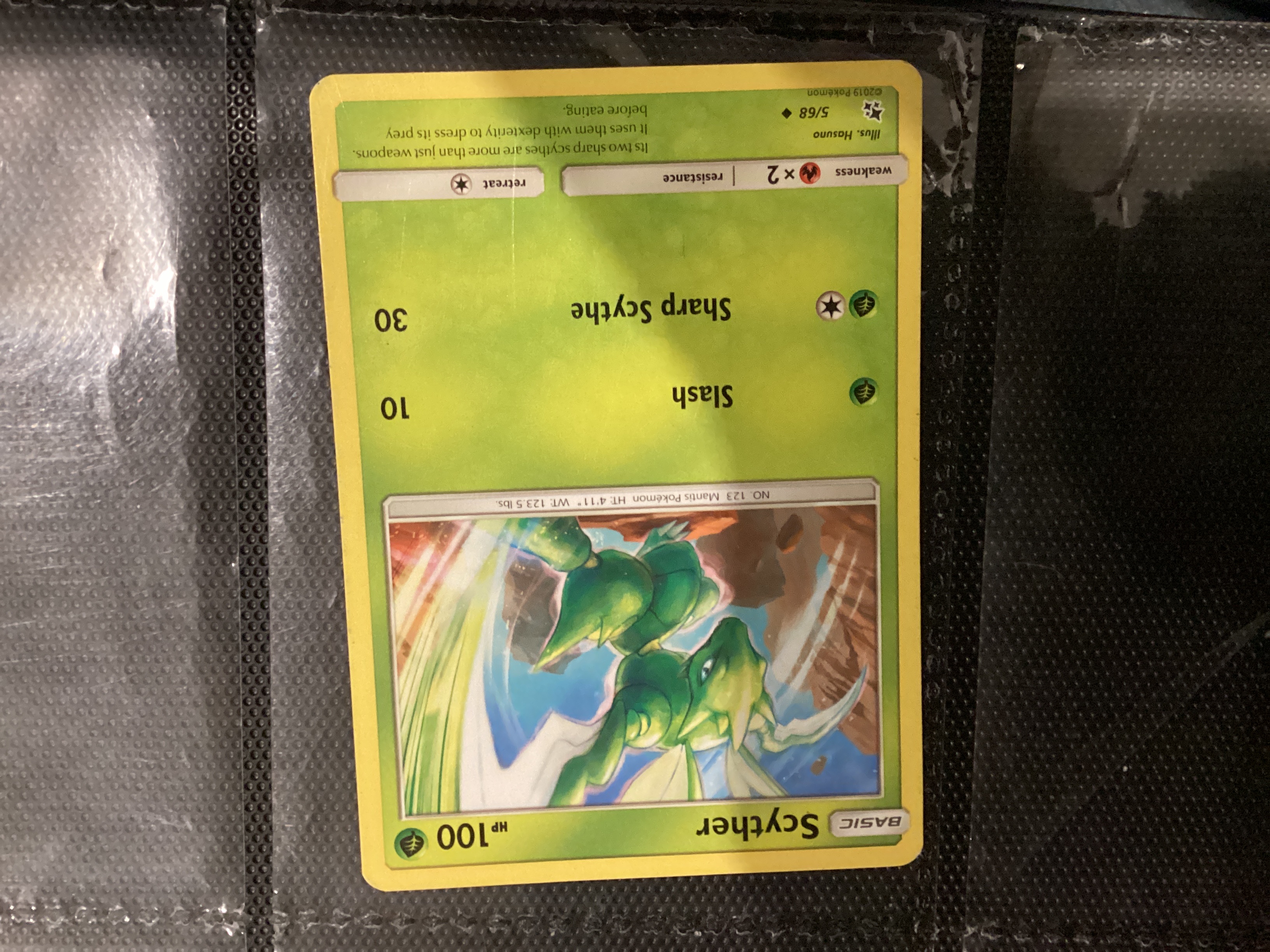 Card