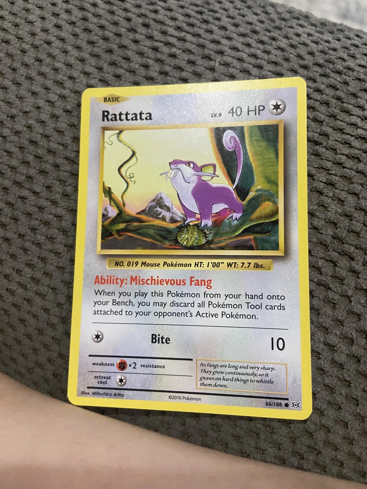 Card