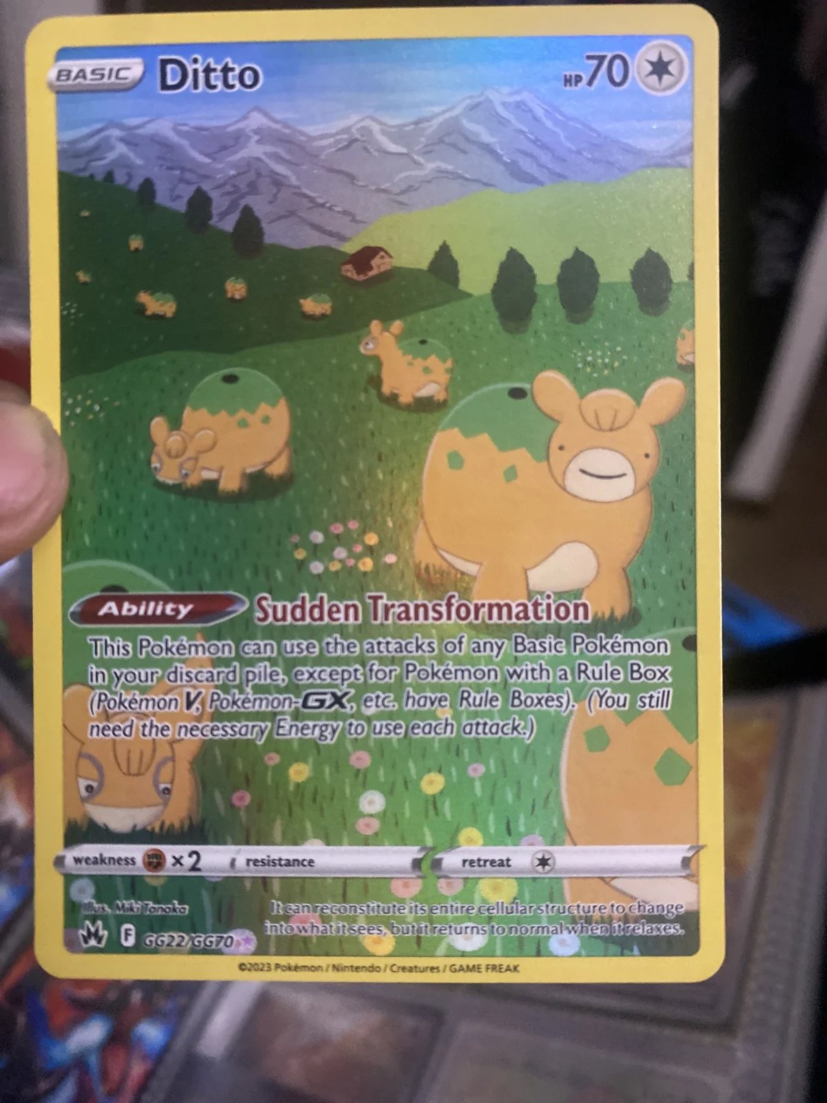 Card