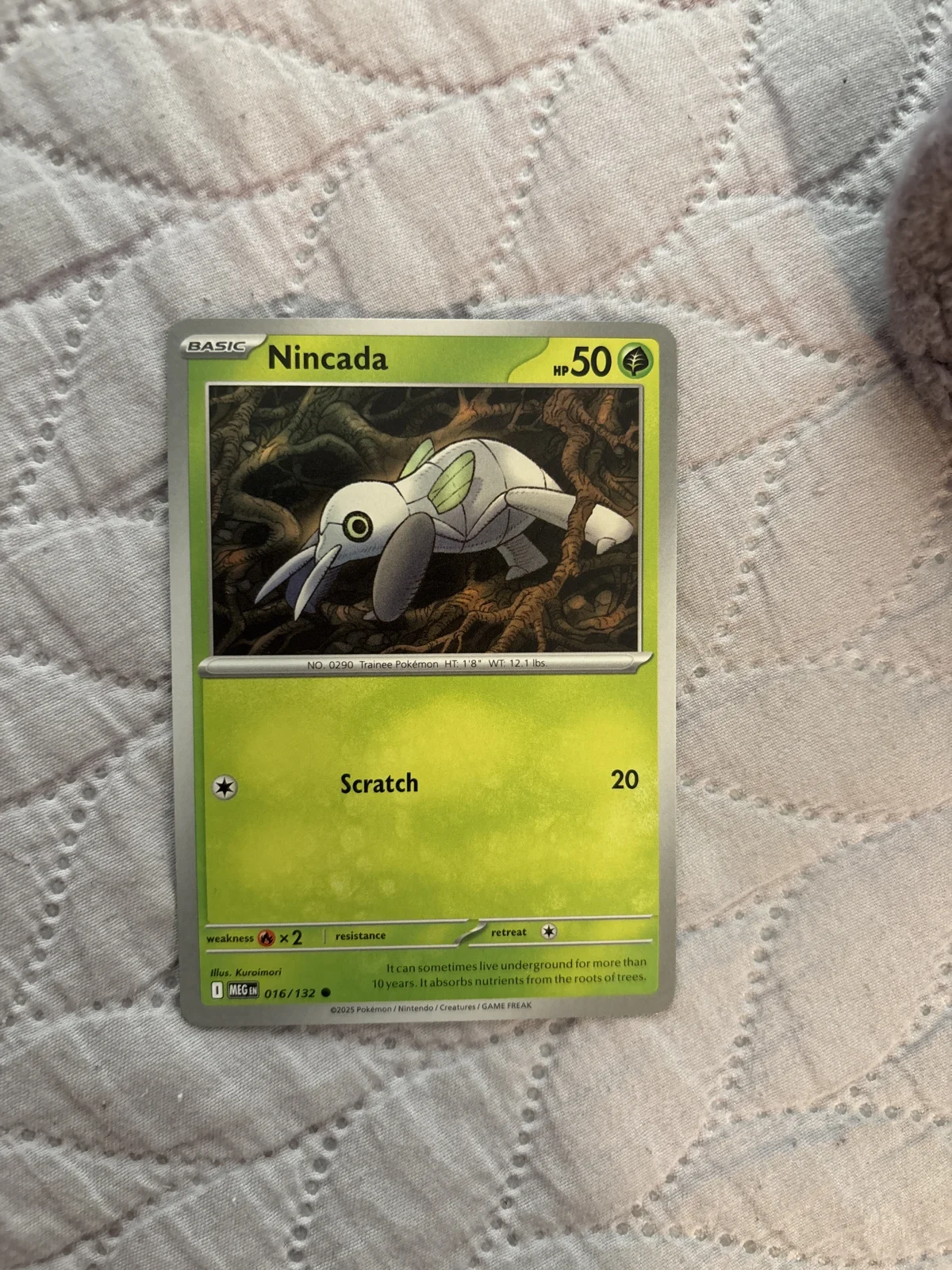 Card