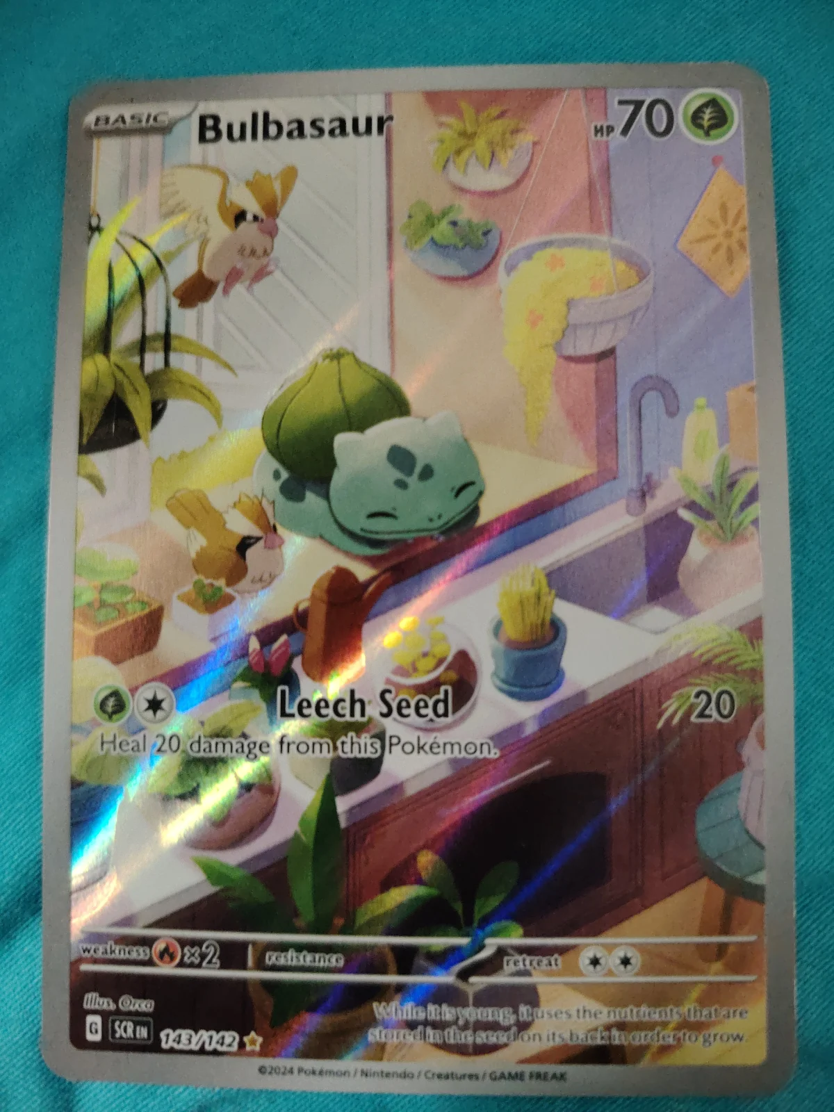 Card
