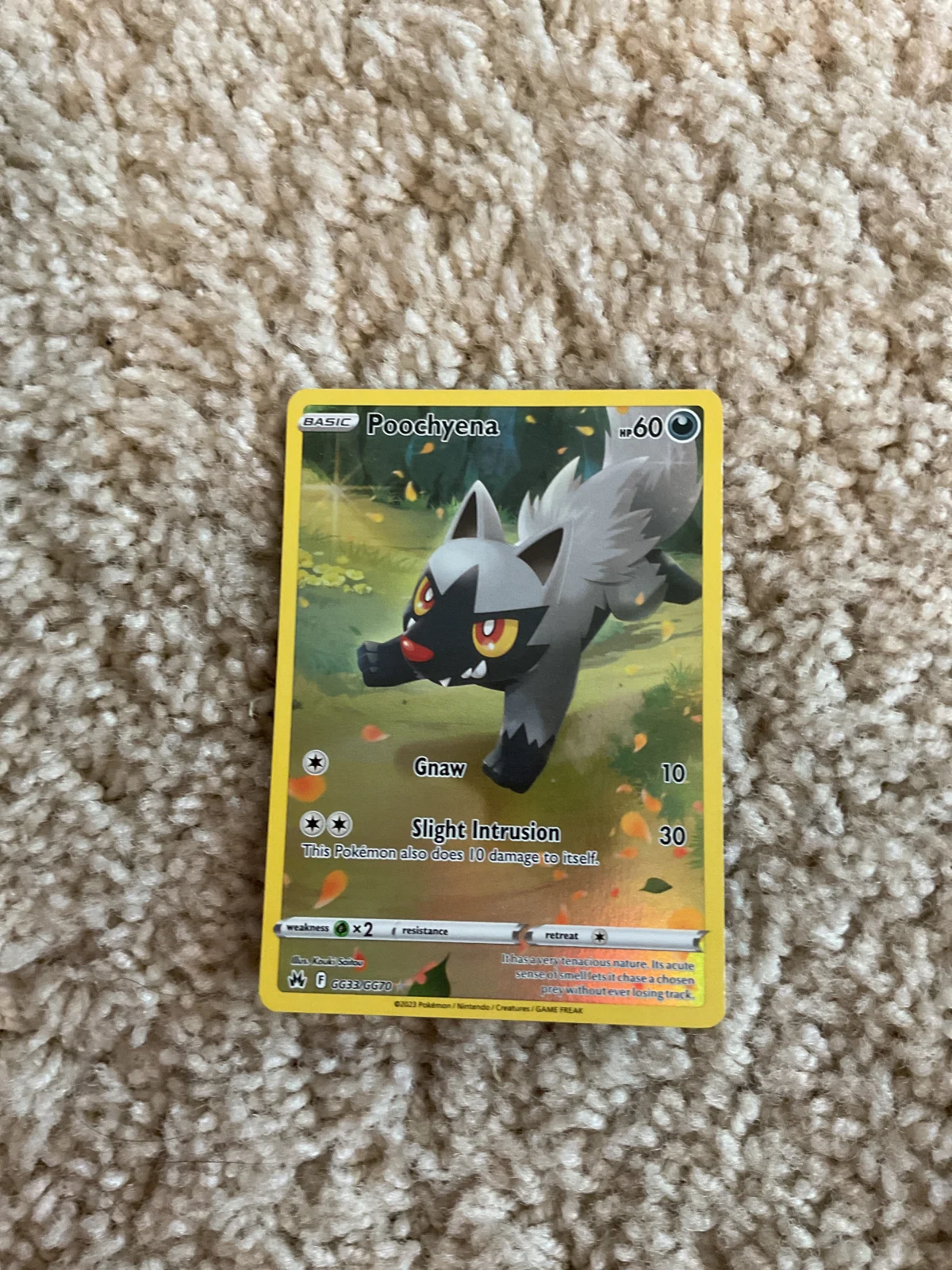 Card