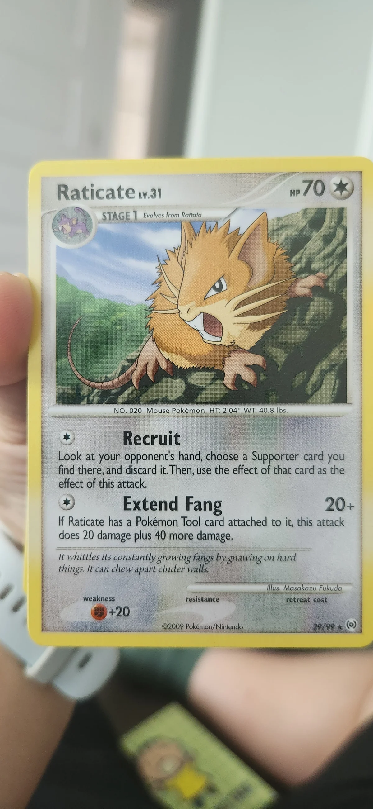 Card