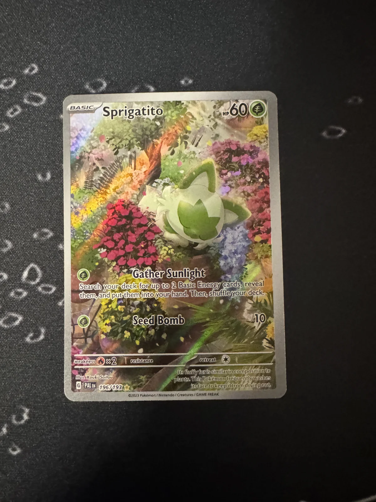 Card