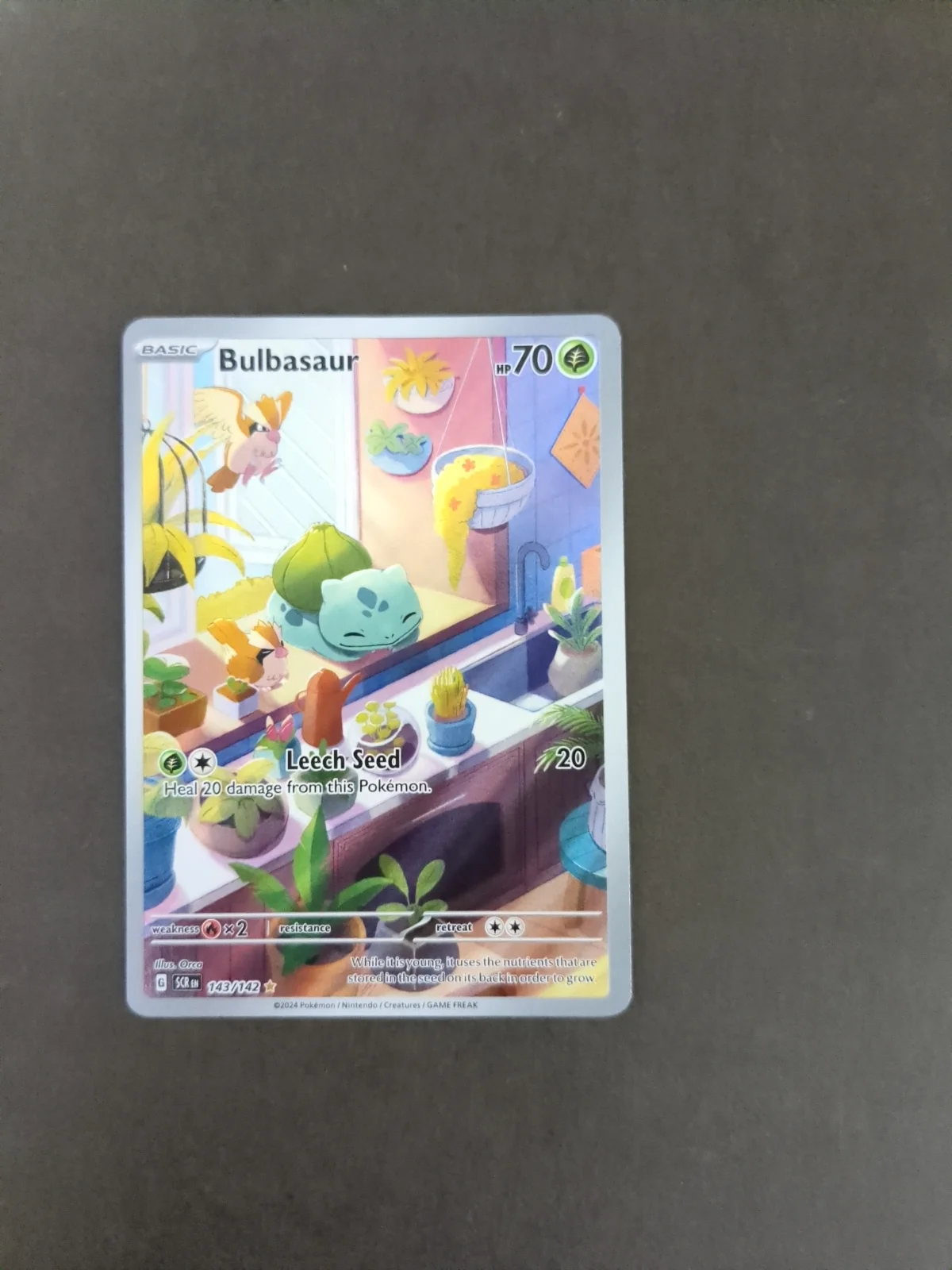 Card
