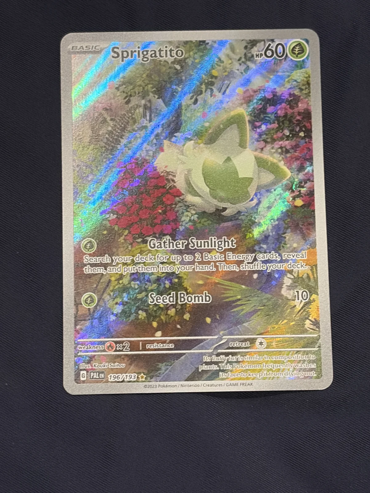 Card