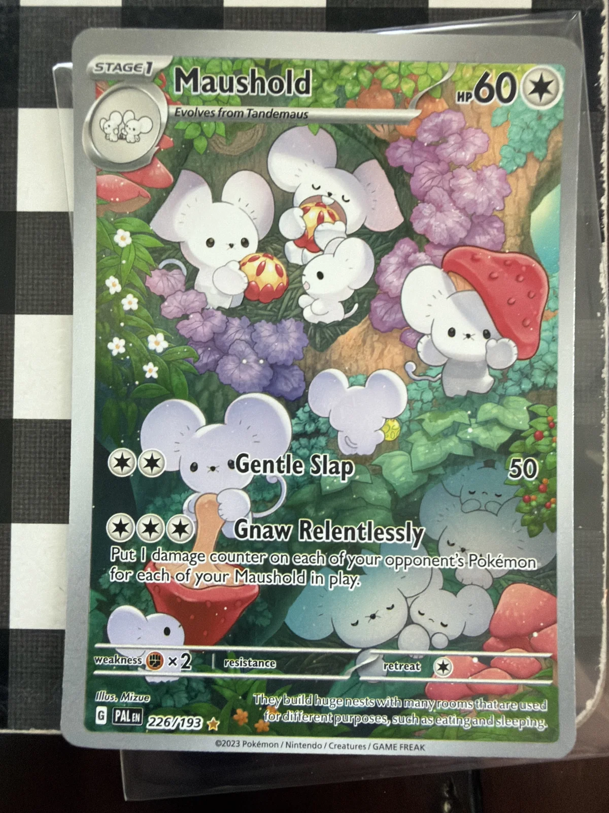 Card
