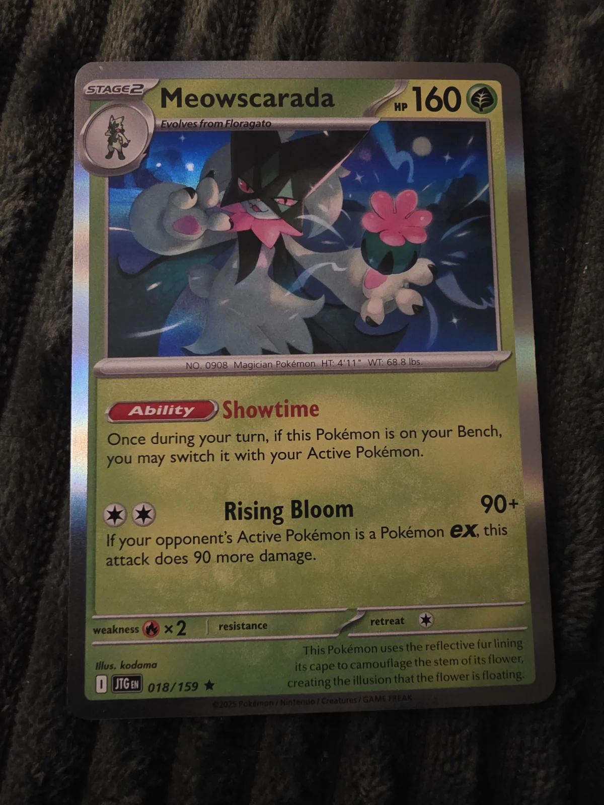 Card