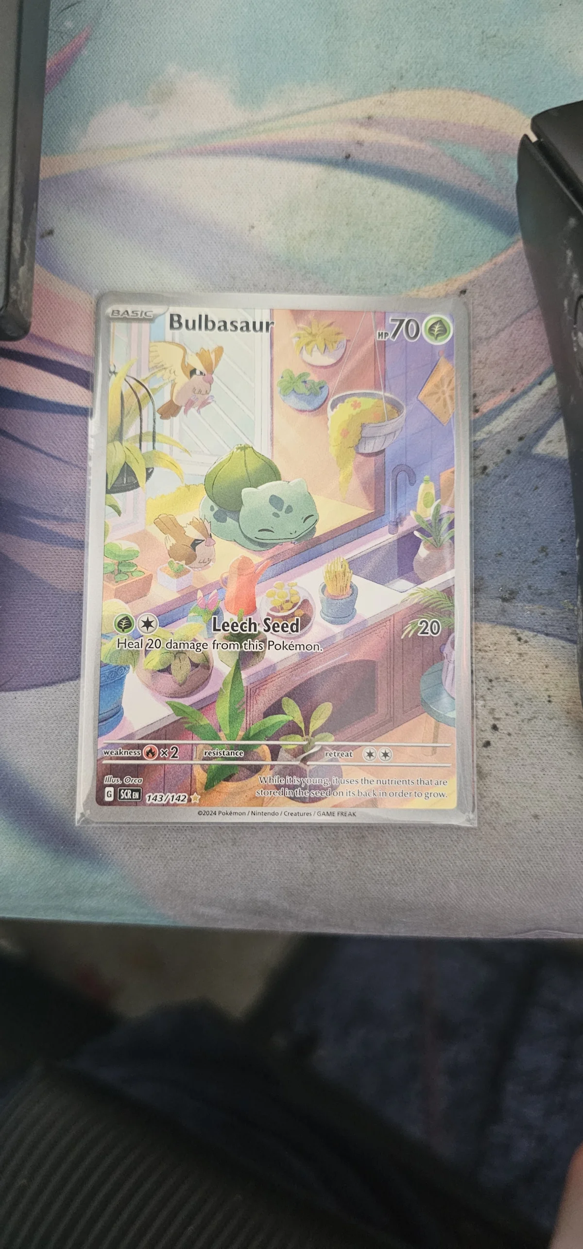 Card