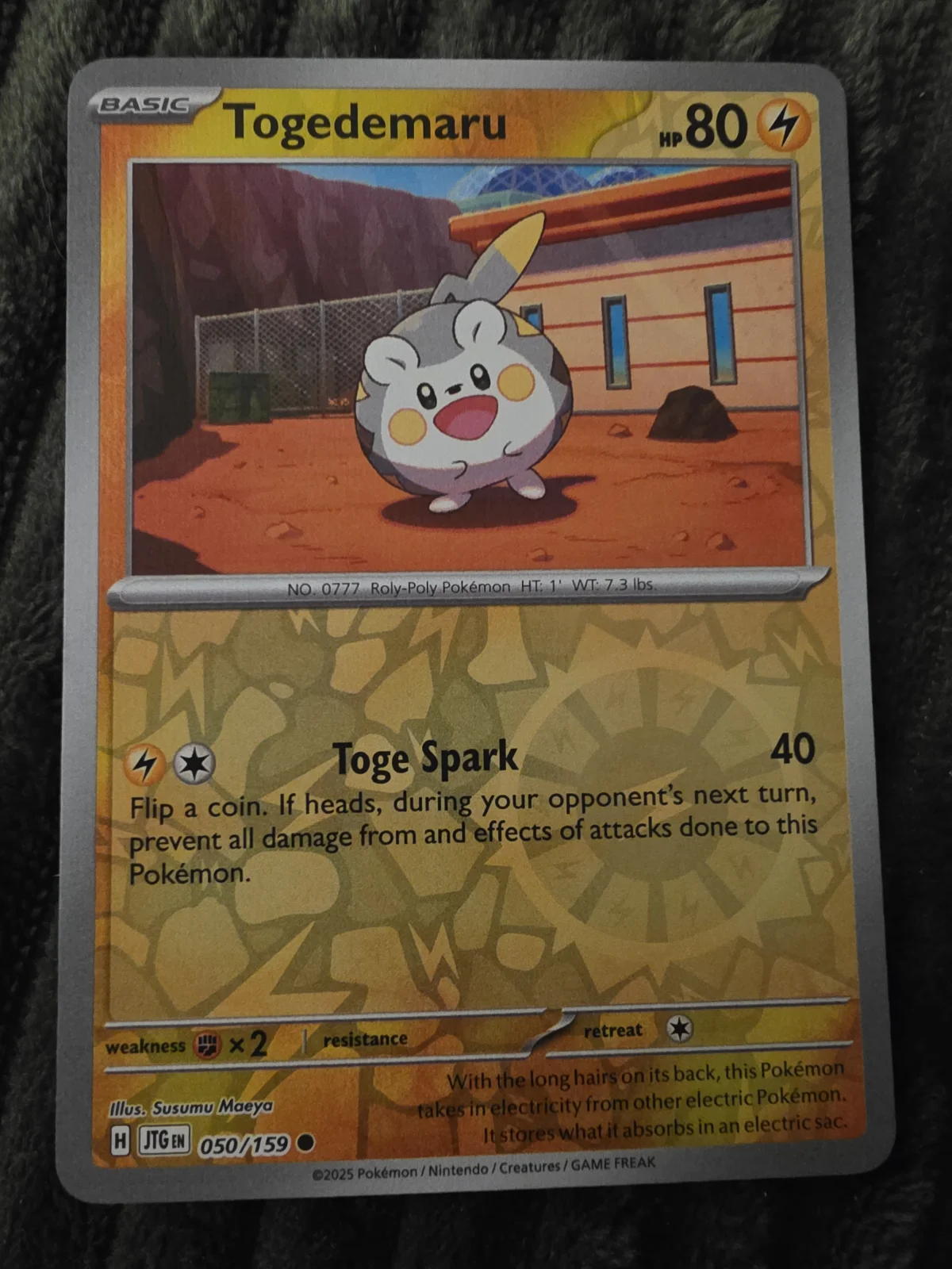 Card