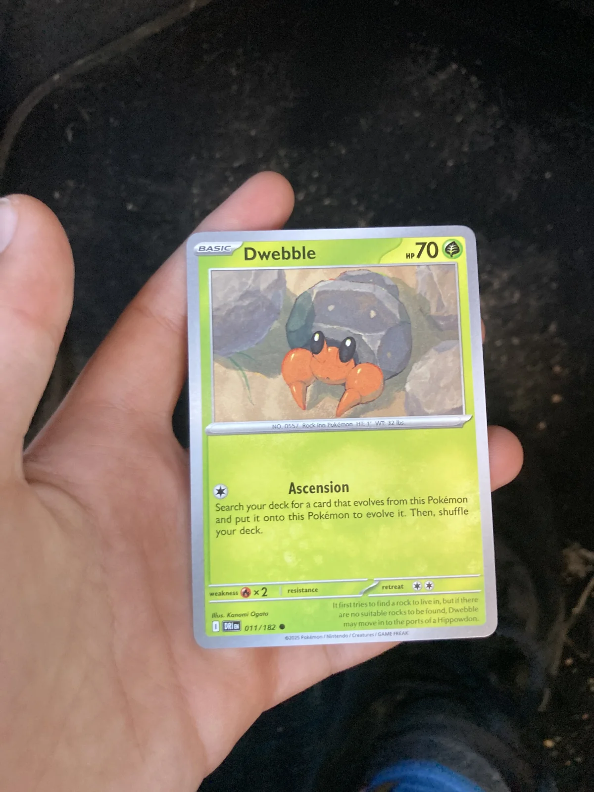 Card