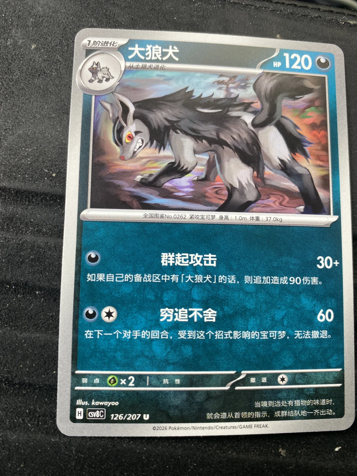 Card