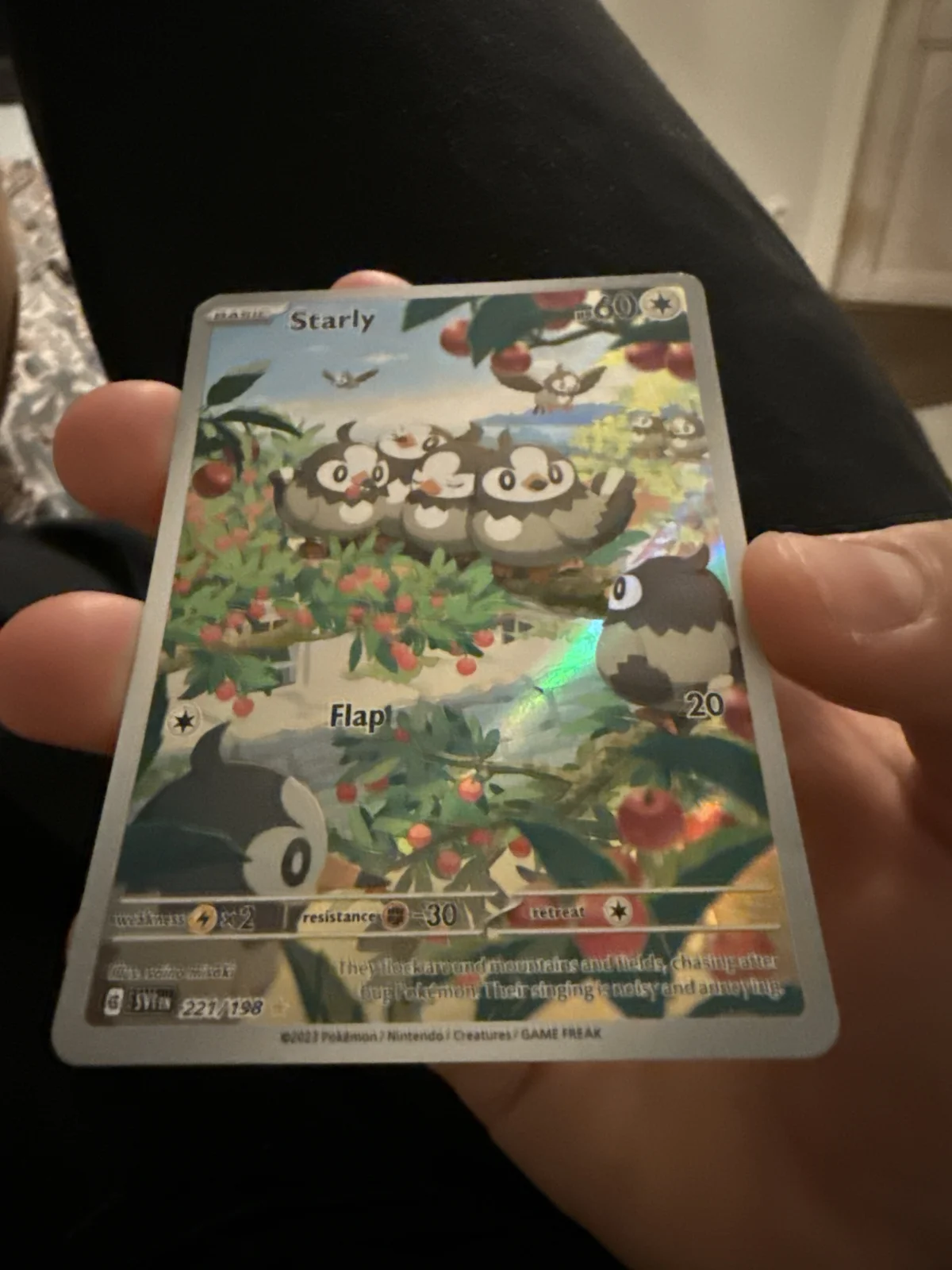 Card