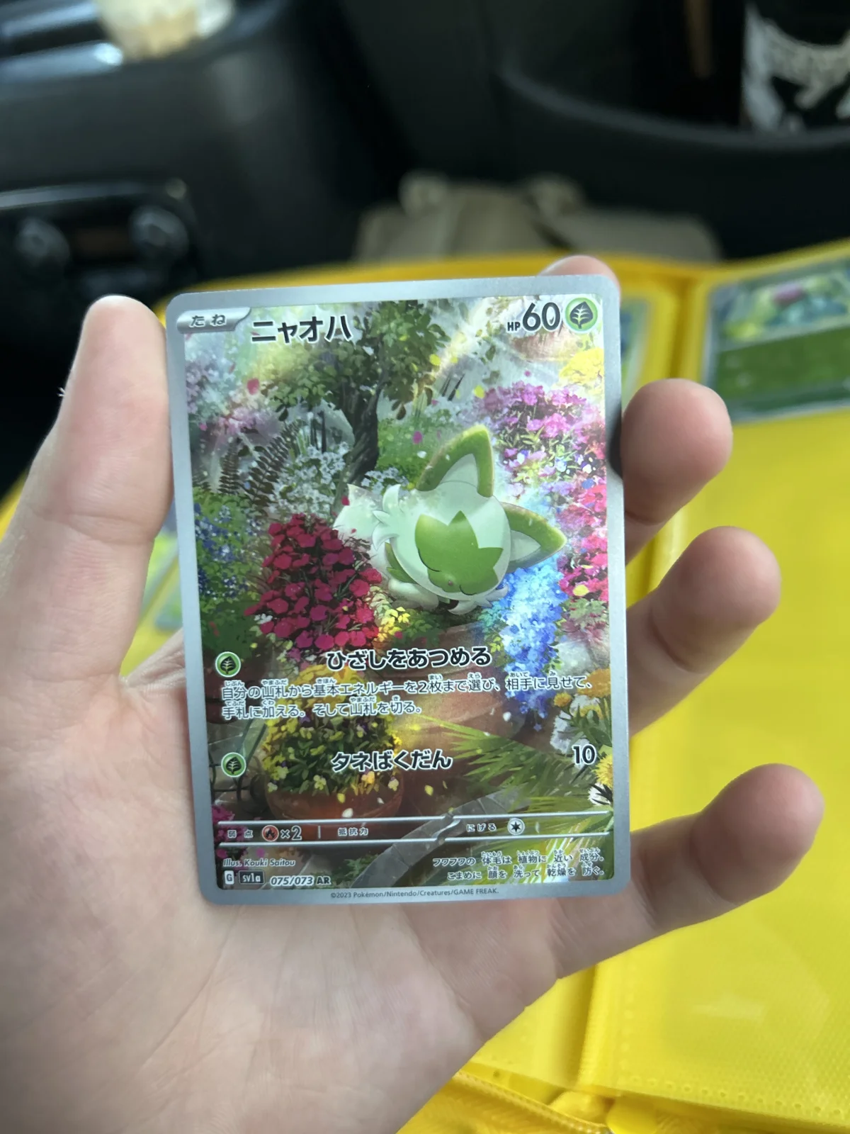 Card