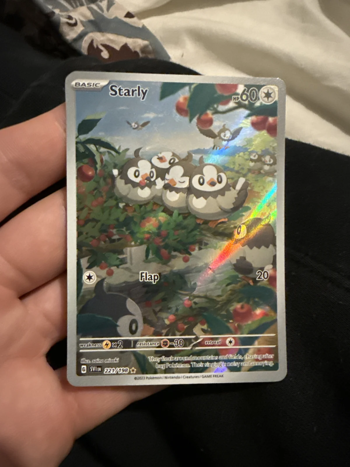 Card