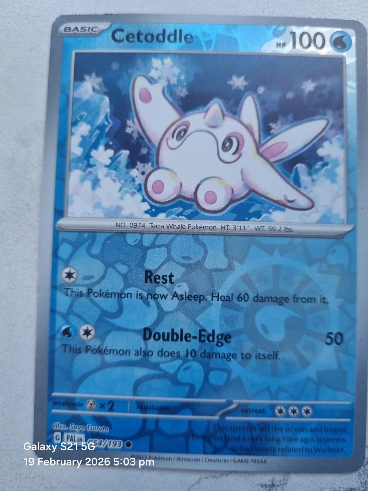 Card