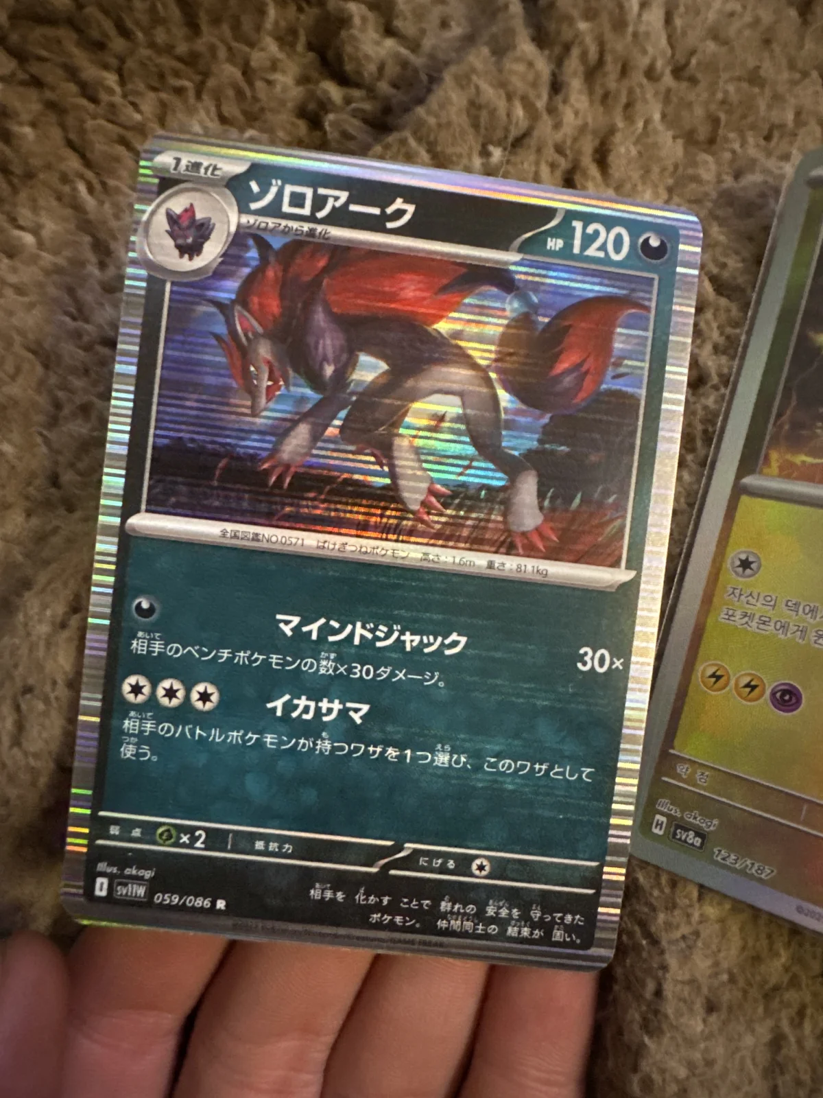 Card