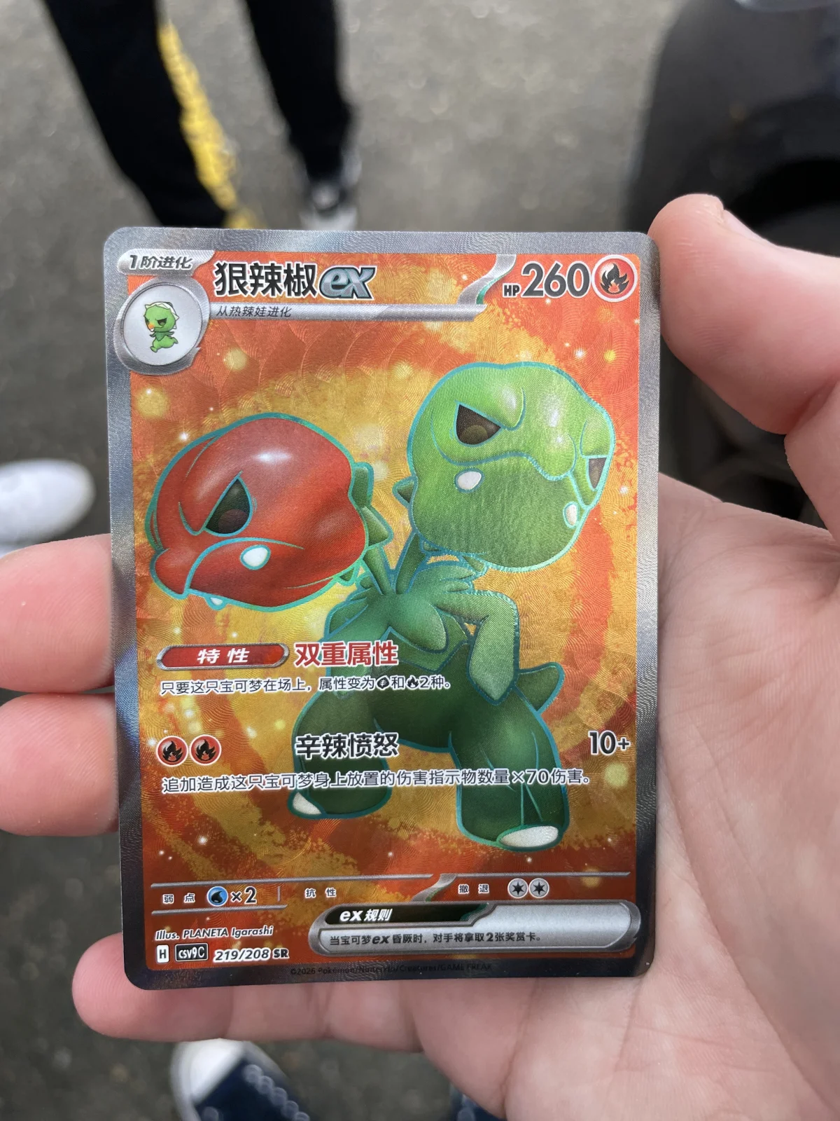 Card