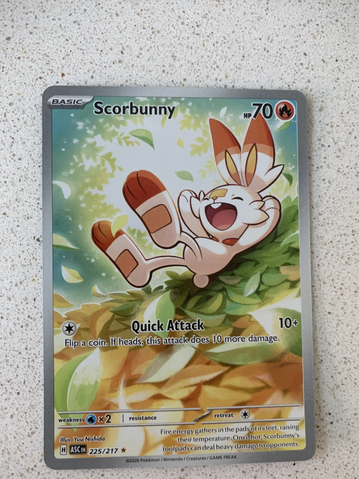 Card